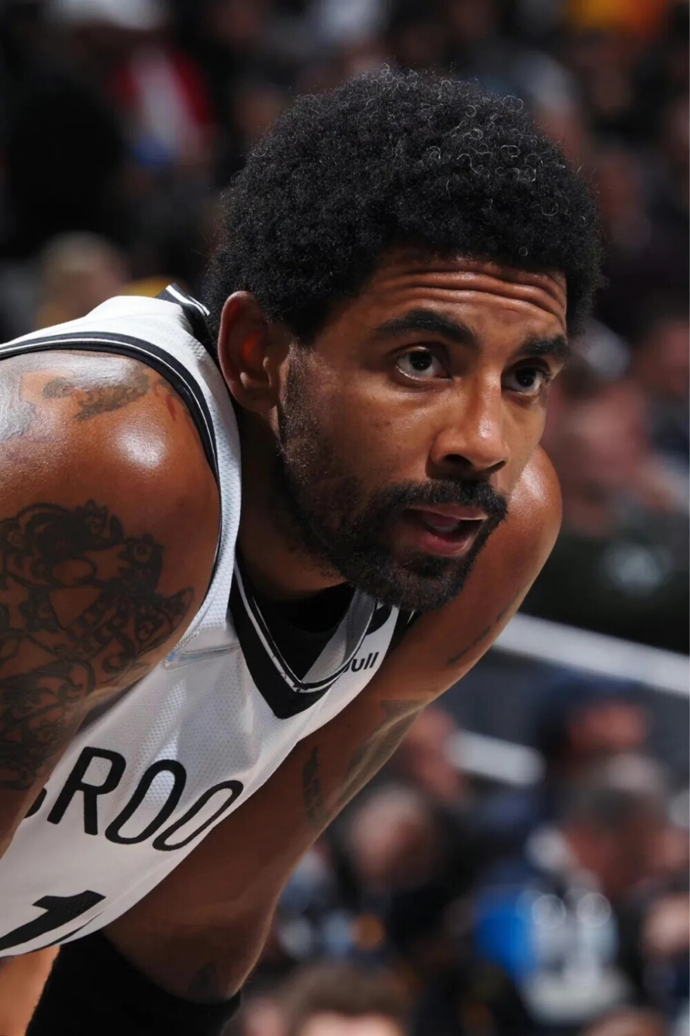 队内阵容短 队内阵容短