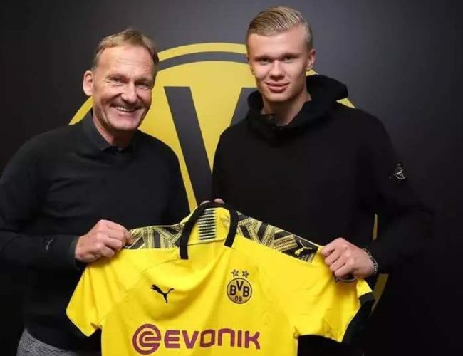 实战阶段强 实战阶段强